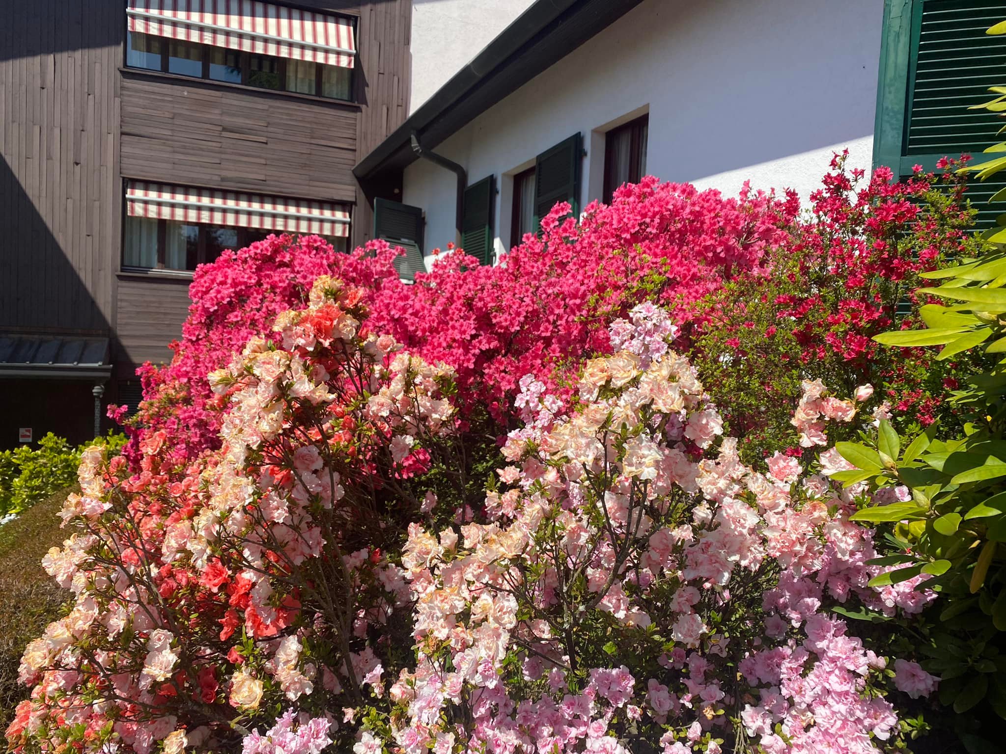 279396228_1578120812566923_3790053879521719401_n