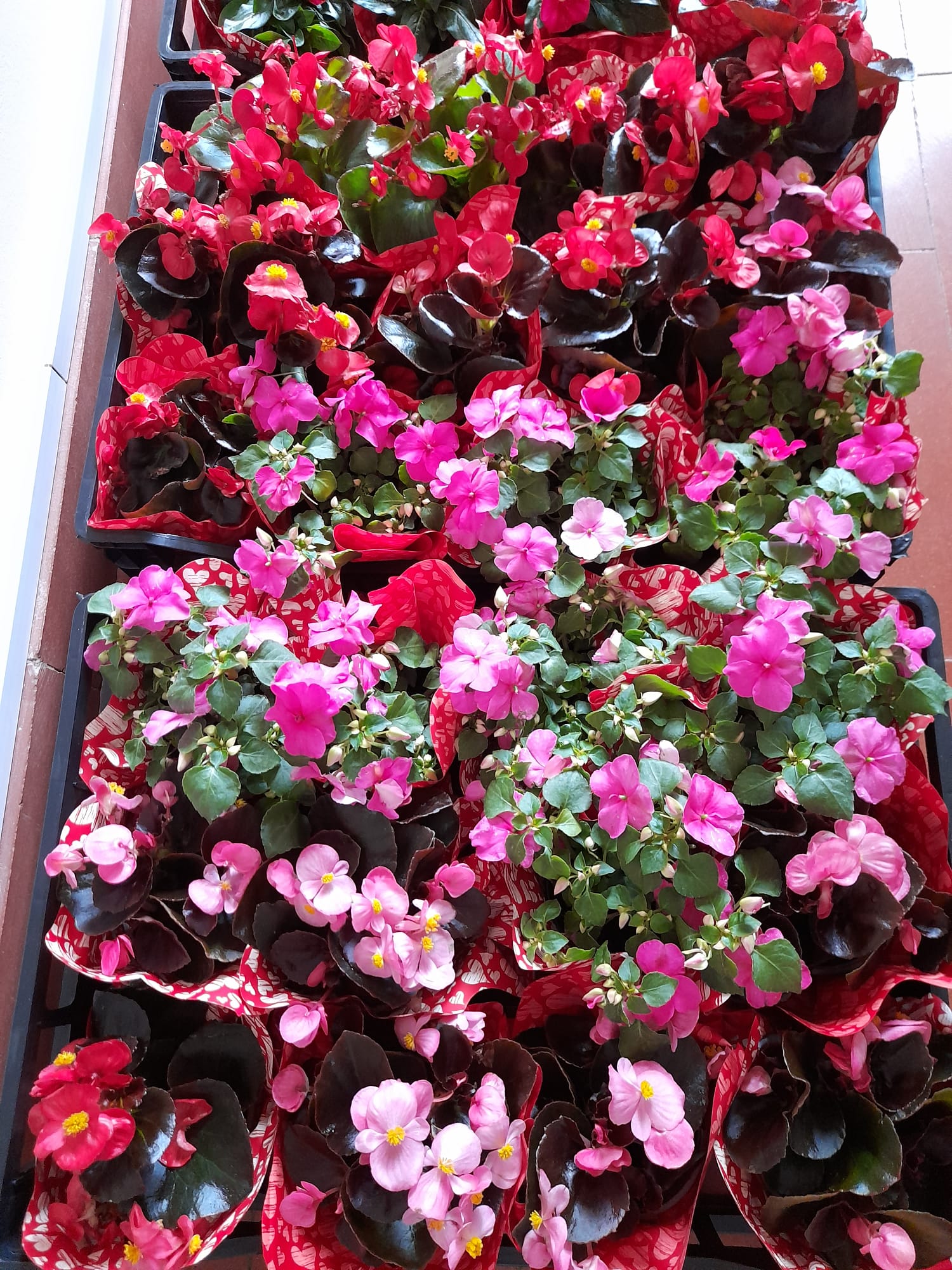 7b3c1d4e-8106-400d-9bde-690ae685995c