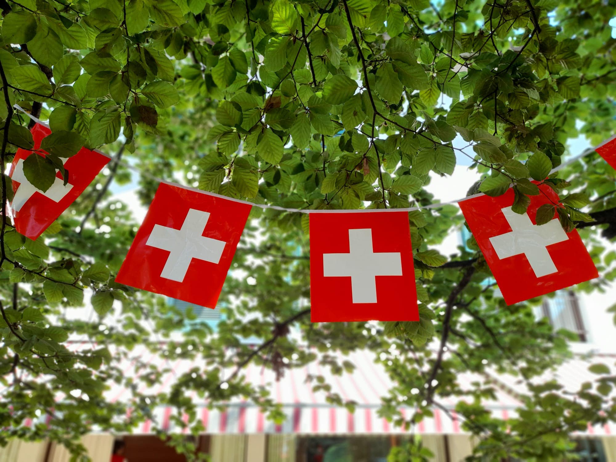 295914883_1645049945874009_795403173542340331_n