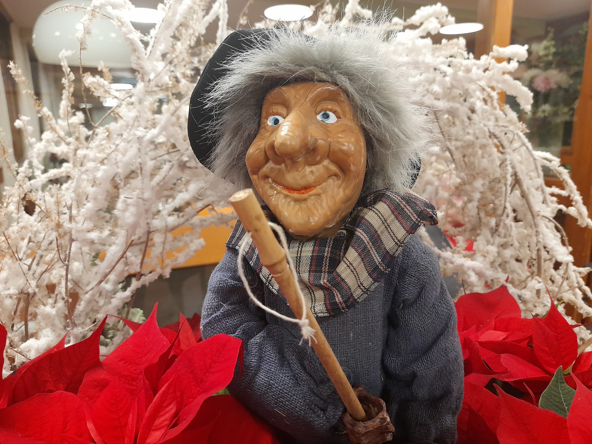 607989995_2570198040025857_2291861933157331556_n