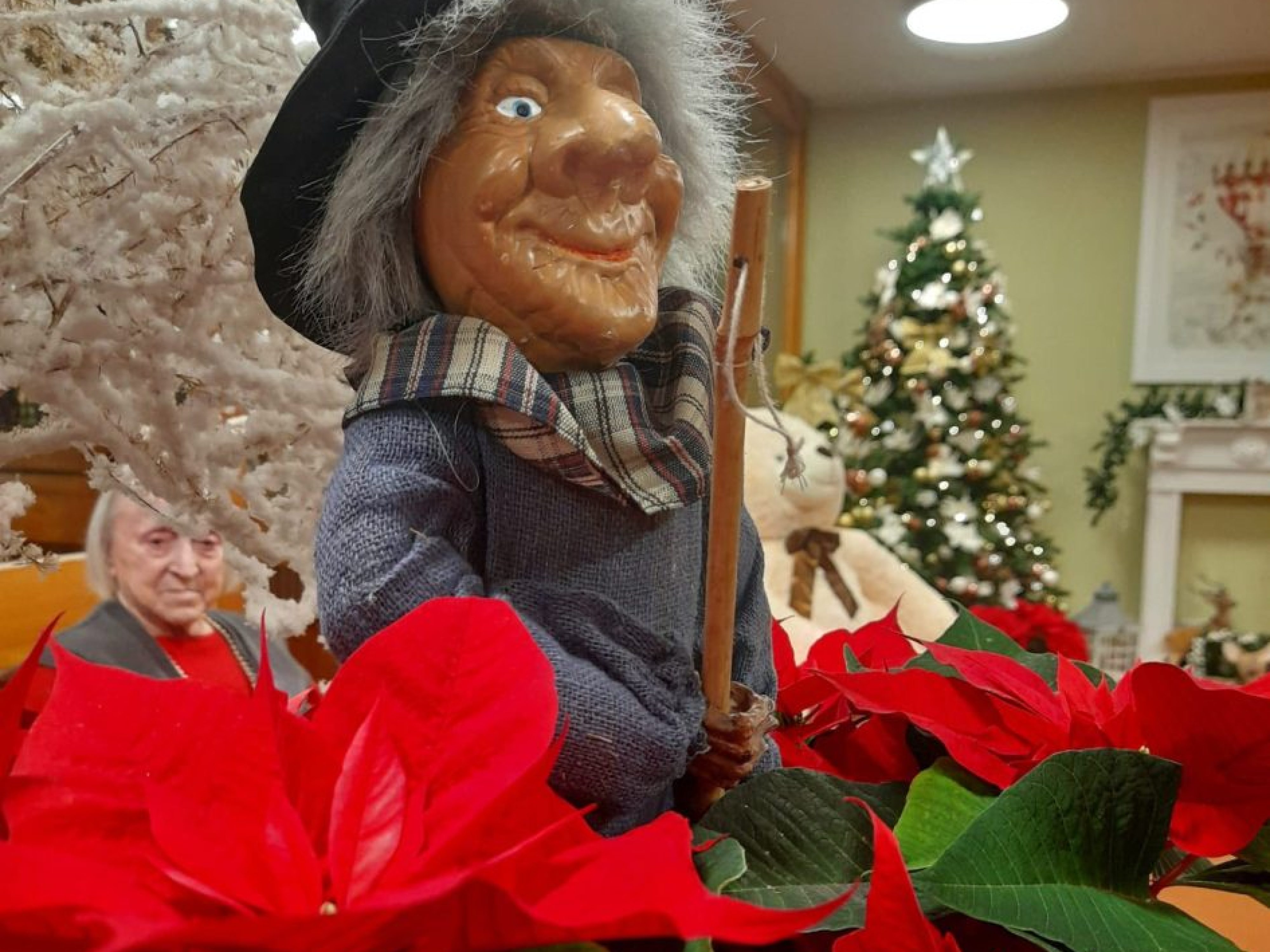 611284646_2570198046692523_779765229445093999_n