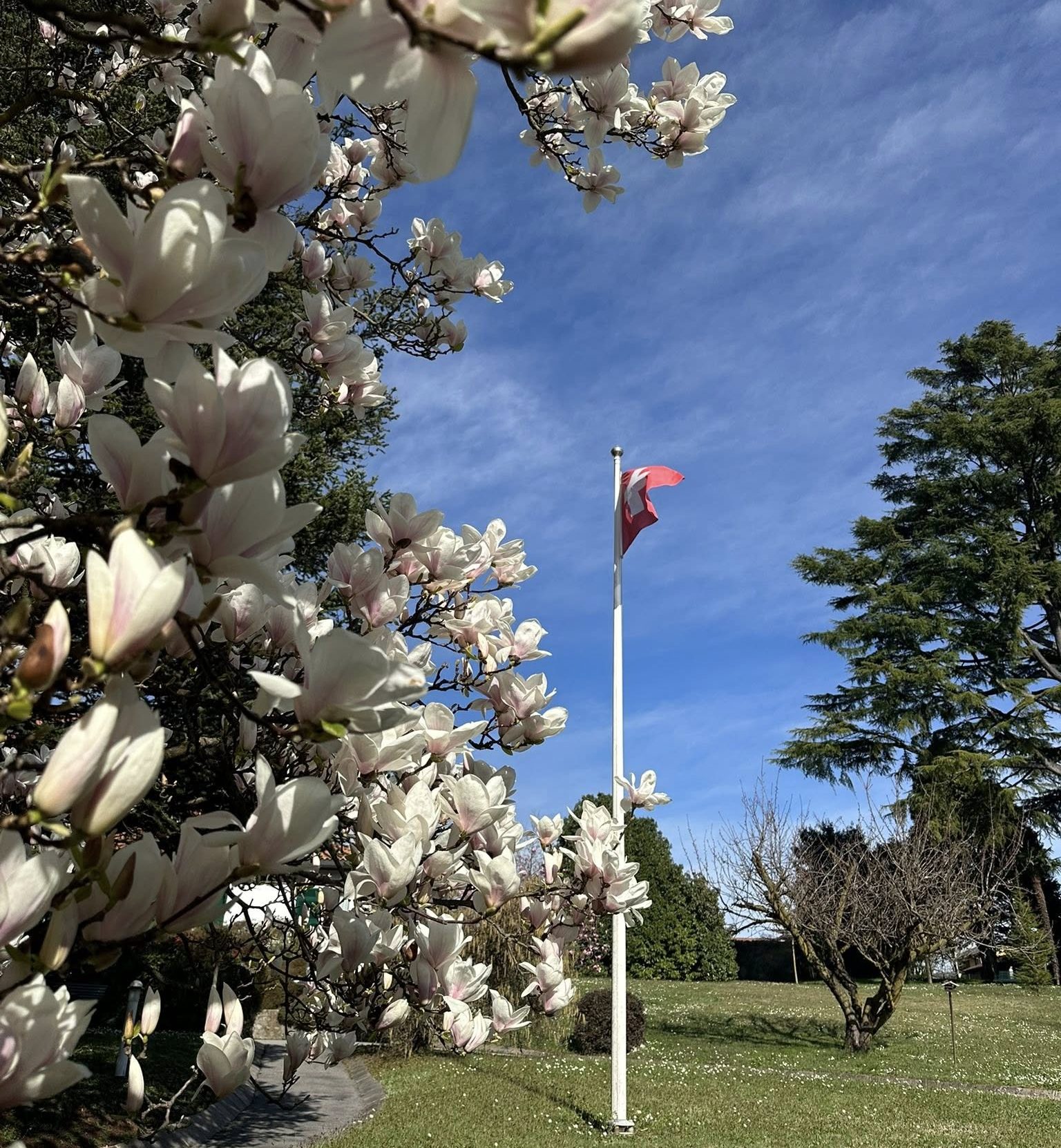 651724488_2632865170425810_1711856755785280011_n